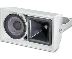 AW295 High Power 2-Way All Weather Loudspeaker