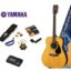 F310P Natural - Acoustic Guitar Package