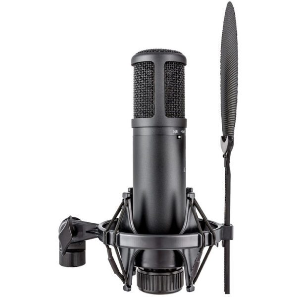 sE Electronics sE2200a Condenser Microphone