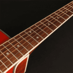 Cort AD890CF NT Semi Acoustic Guitar
