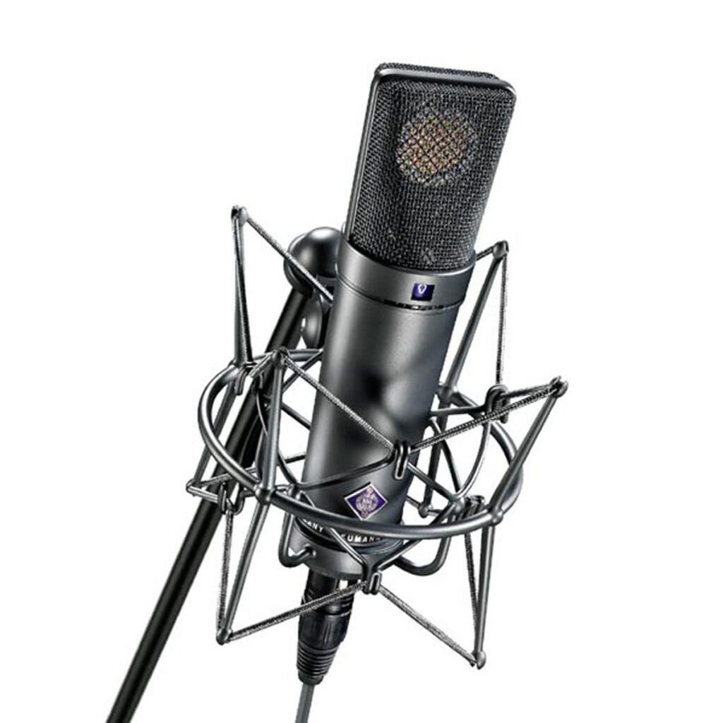 Neumann U 89i microphone