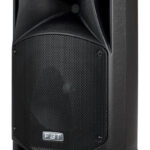 FBT ProMax X 114 Passive speaker