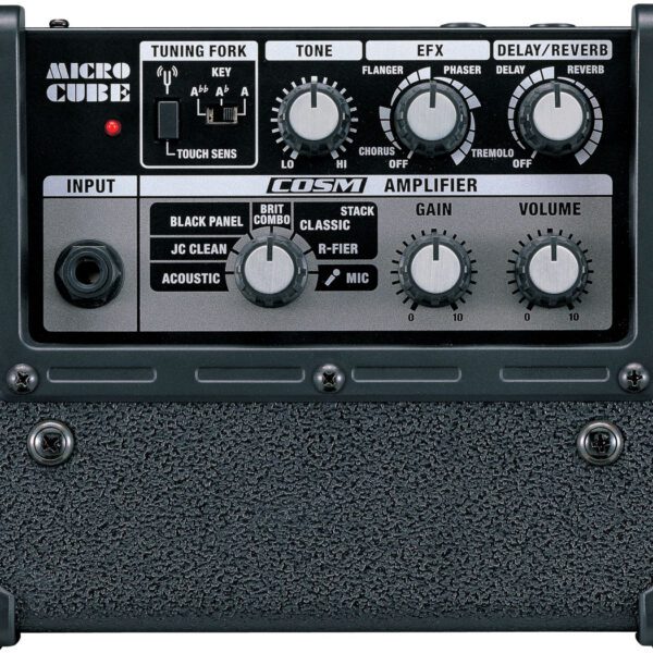 Roland MCB-RX Micro Cube Bass Amplifier - Audio Shop Dubai