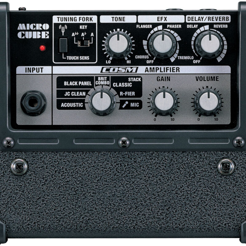 Roland MCUBE-RX Guitar Amplifier