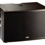 CS1000 Line Array