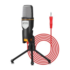 Wired Stereo Mic