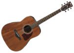 Ibanez AW54-OPN Acoustic Guitar