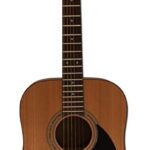 Samick D-1-N Greg Bennett Acoustic Guitar