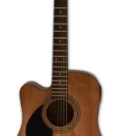 Samick D-1CE -N Greg Bennett Acoustic Guitar