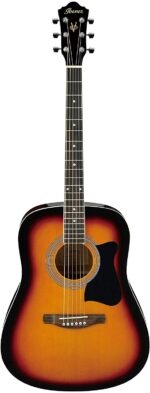 Ibanez V50NJP-VS Acoustic Guitar