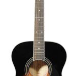 Samick GD-100S-N Greg Bennett Acoustic Guitar