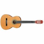 Ibanez classical guitars take the guesswork out of finding an affordable, great-sounding classical guitar that’s easy to fret and play. Whether you are looking for a traditional classical-sized instrument or a comfortable nylon-string beginner guitar, they are extremely well-constructed, affordable and have the pristine tonality and playability of much more expensive instruments.