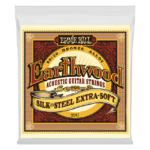 Ernieball Earthwood Silk and Steel