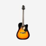 Samick GOM-100SCE-VS Greg Bennett Acoustic Guitar