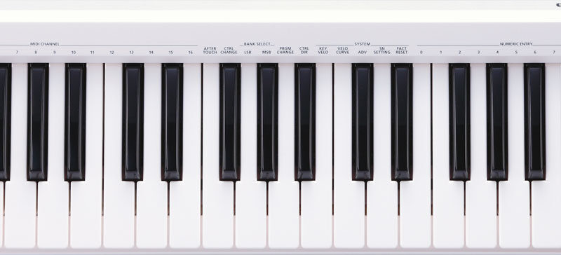 A-49 MIDI Keyboard Controller W