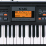 Roland E-09 61 Key Interactive Arranger
