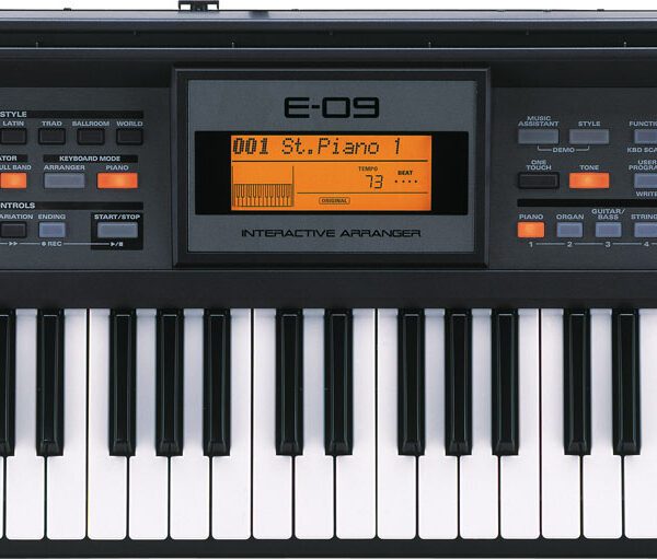 Roland E-09 61 Key Interactive Arranger