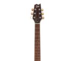 ESP LTD LTL6WR Thinline 6-string Mahogany Body Electric Guitar in Wine Red