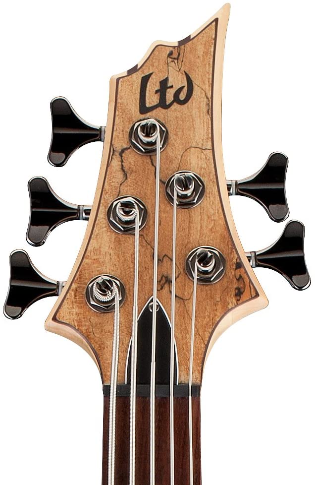 ESP LTD B-205SM Spalted Maple Five-String Bass Guitar, Natural Satin