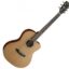 Cort JADE1E-OP Acoustic-Electric Guitar With Bag