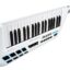 Alesis VORTEX USB/MIDI Keytar Controller with Accelerometer