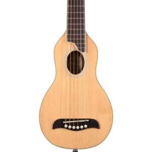 Washburn RO10SK Rover Acoustic Guitar w/ Gigbag - Natural