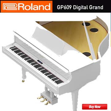 Buy Roland GP609