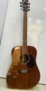 Cort Earth 250 Acoustic Guitar