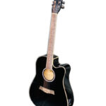 Siltron ST 10 CE Guitar