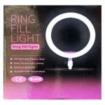 Eworld Photography Lamp Ring Light
