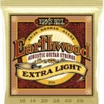 Ernie Ball P02006 Acoustic Guitar Strings- 10-50 GAUGE