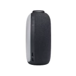 JBL Horizon 2 Bluetooth Speaker
