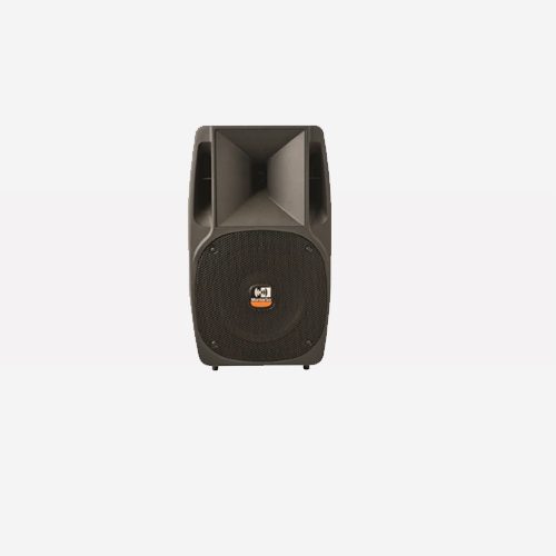 Montarbo NM250A Active Speaker
