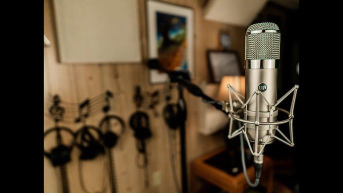 Warm Audio WA 47jr Fet Condenser Microphone
