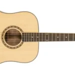 Peavey Delta Woods® Dw-1™ Acoustic Guitar Front View