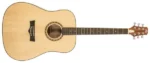 Peavey Delta Woods® Dw-1™ Acoustic Guitar Front View