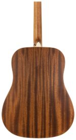Peavey Delta Woods® Dw-1™ Acoustic Guitar Body VIew