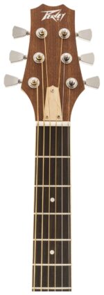 Peavey Delta Woods® Dw-1™ Acoustic Guitar Head VIew