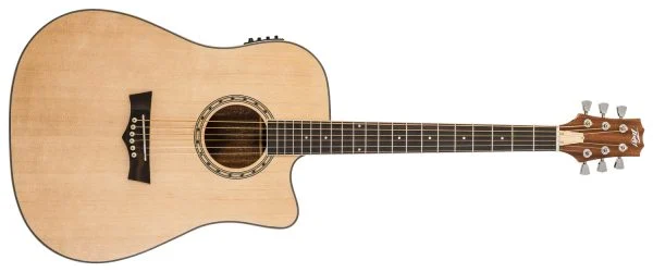 DELTA WOODS® DW-2 CE™ SOLID TOP CUTAWAY ACOUSTIC-ELECTRIC GUITAR front view