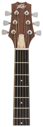 DELTA WOODS® DW-2 CE™ SOLID TOP CUTAWAY ACOUSTIC-ELECTRIC GUITAR head view