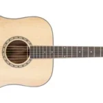 DELTA WOODS® DW-2™ SOLID TOP DREADNOUGHT ACOUSTIC GUITAR FRONT VIEW