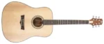 DELTA WOODS® DW-2™ SOLID TOP DREADNOUGHT ACOUSTIC GUITAR FRONT VIEW