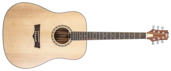 DELTA WOODS® DW-2™ SOLID TOP DREADNOUGHT ACOUSTIC GUITAR FRONT VIEW