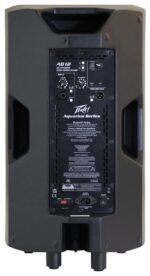 Aquarius 12 Peavey Power Speaker Back View
