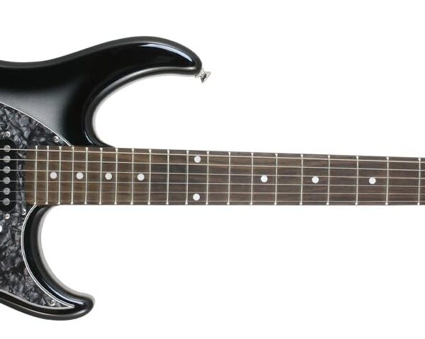 Peavey Raptor Custom Guitar Front View