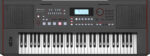 Roland ARRANGER KEYBOARD E-X50