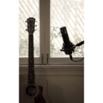 sE Electronics sE2200 Large-Diaphragm Cardioid Condenser Microphone with Isolation Pack (Black) - Image 4