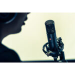 sE Electronics sE2300 Studio Condenser Microphone with Switchable Polar Patterns and Isolation Pack - Image 5