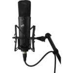 Warm Audio WA-87 R2 Large-Diaphragm Multipattern Condenser Microphone (Black) - Image 2