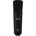 Warm Audio WA-87 R2 Large-Diaphragm Multipattern Condenser Microphone (Black) - Image 7